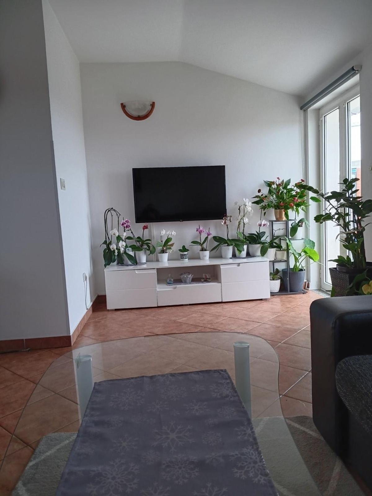 Apartman Sara Rovinj Exterior foto